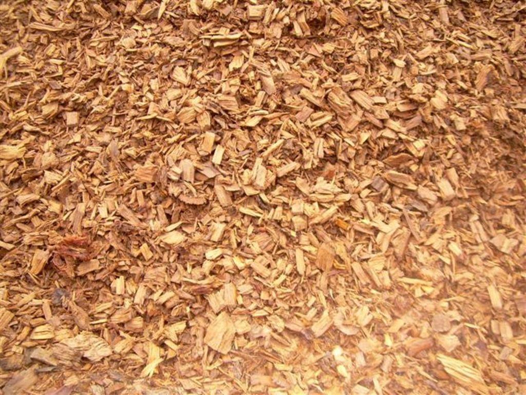 cippato castagno