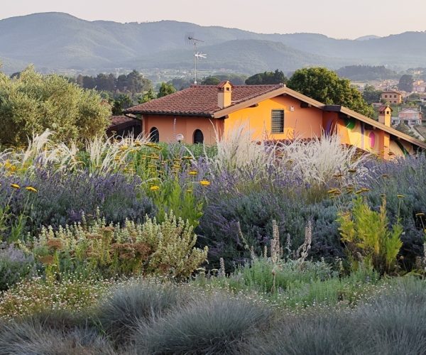 Garden design Roma