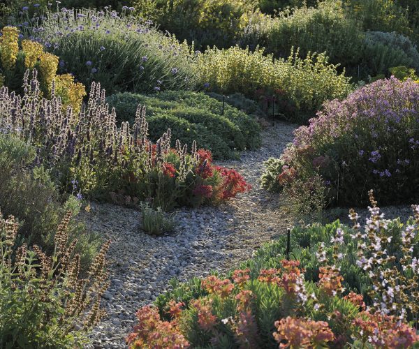 Giardino Mediterraneo
