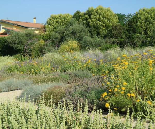 Giardino a maturità