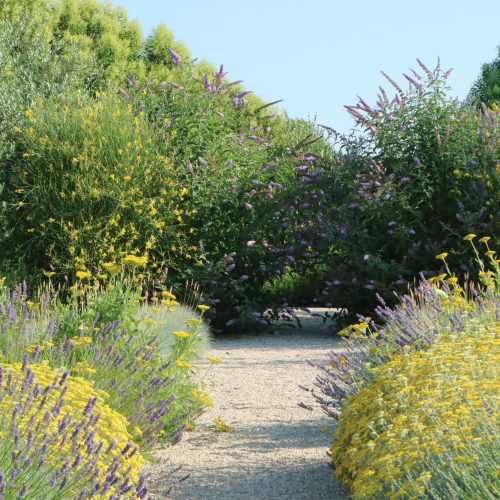 Giardino colorato