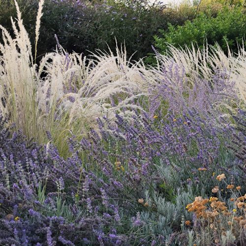 Italian Planting Design