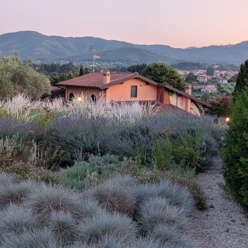 Giardino informale