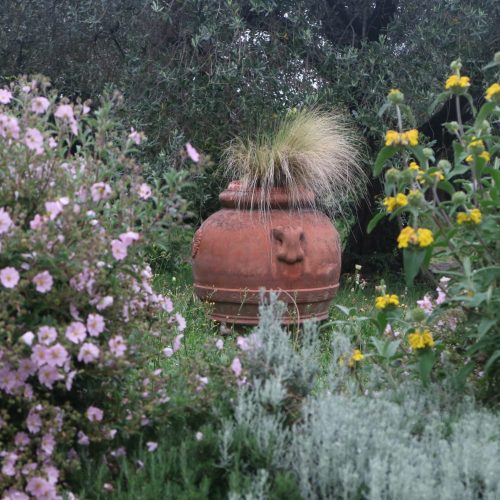Countryside italian garden